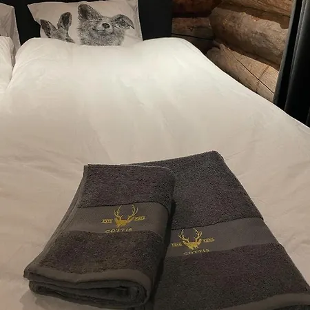 Cottis - Kultakettu * Levi