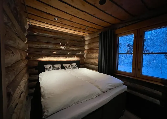 Cottis - Kultakettu 度假居 列维